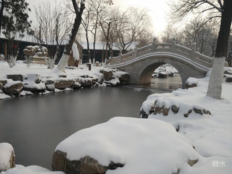 雪后津沽人,车,景～