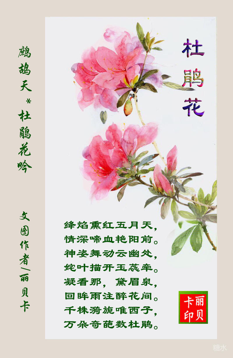 鹧鸪天 杜鹃花吟 诗词集 背景音乐 百里杜鹃开 演唱 阿娜丹