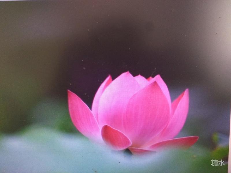 道教佛教民间对联解析及欣赏