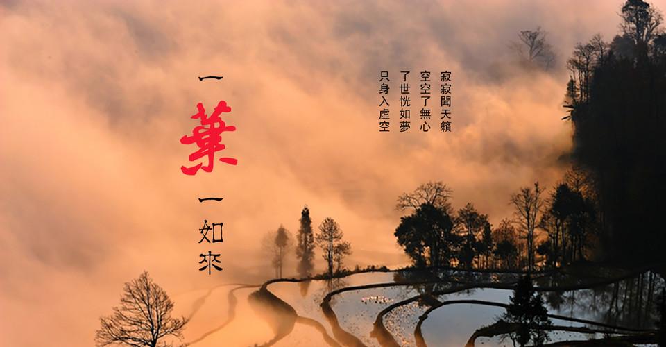 竹的种类】田家双编著
