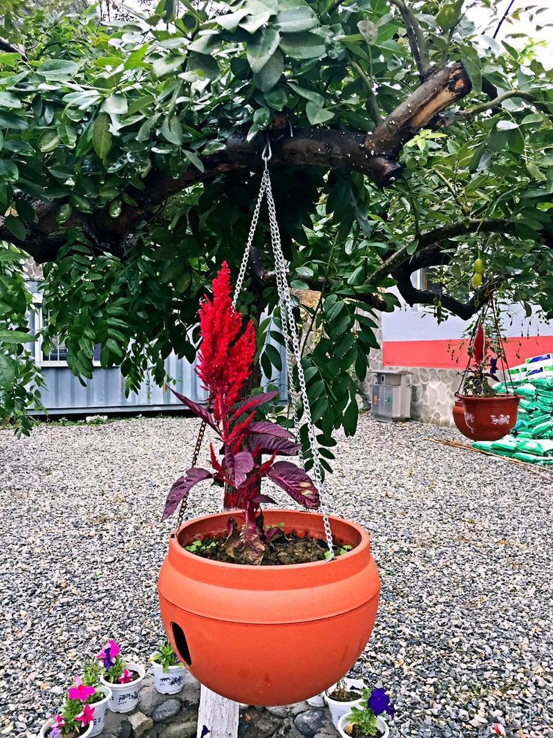 金秋 我在大安山隐居的日子