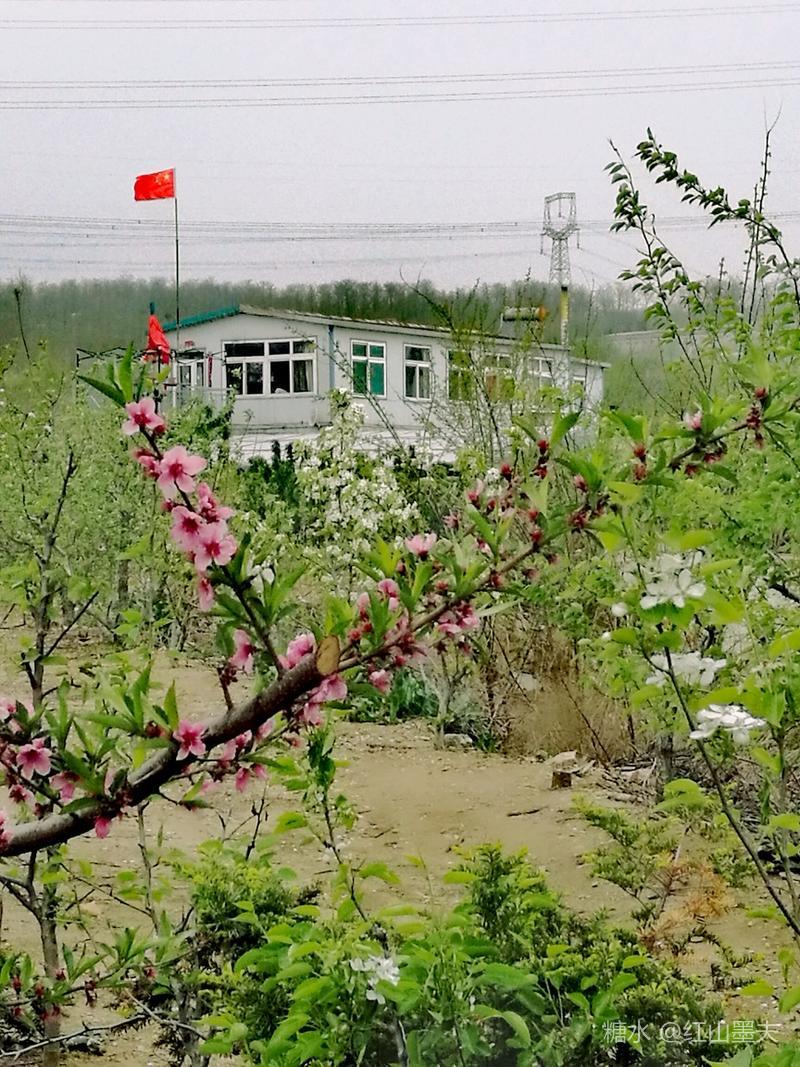 初夏氤翠秀山郭