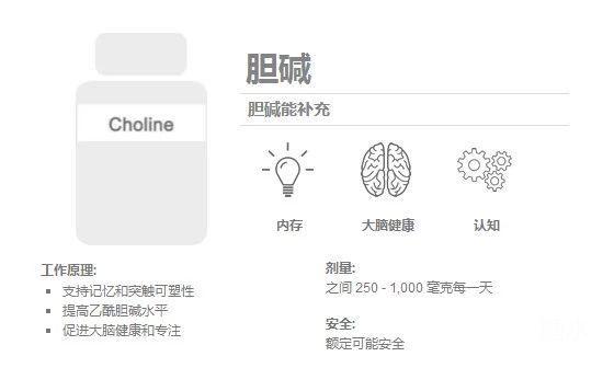 神奇的大腦信使 乙醯膽鹼的生命輪迴之路 每日頭條