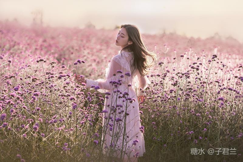 六月的一袭紫