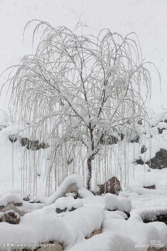 我愿做一片会行走的雪花